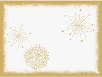 Bio Dunicel Sparkly White Placemat 30x40 cm | 500 stuks