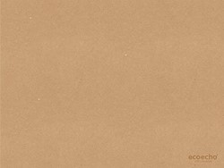 Duni placemat Ecoecho bruin 187006 30x40cm Doos 4x250 stuks