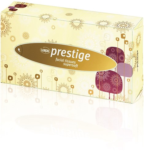 Facial tissue *BA* cellulose 2lgs Doos 40x100 stuks