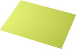 Duni placemat Kiwi 160191 30x40cm Doos 4x250 stuks