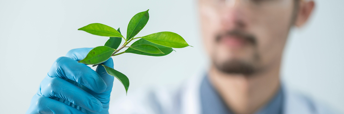 De rol van schoonmaak en hygiëne binnen het Green Key certificaat
