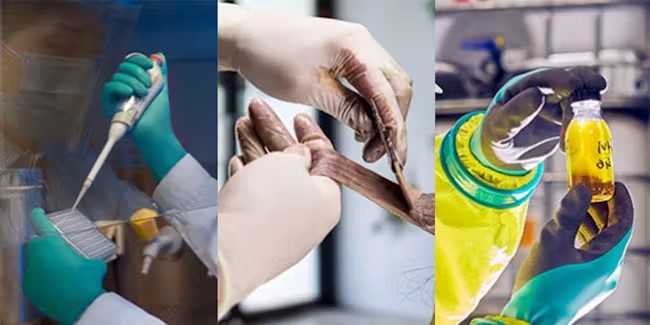 Kies de juiste handschoenen voor uw werkzaamheden