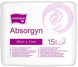 Inlegverband