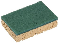 Schuursponzen